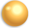 shell_piece-1